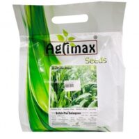 Agrimax Buffalo Plus Sudangrass